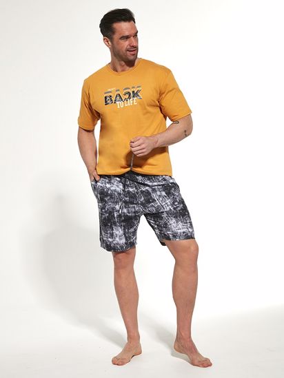 Obrázek z CTT PYŽ.PÁN.328  