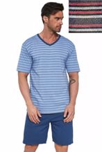 Obrázek z CTT PYŽ.PÁN.330/34 XL 