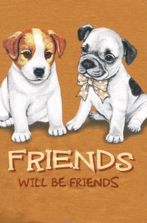 Zobrazit detail produktu - Dívčí košilka Cornette krátký rukáv 259 134-164 Obrázek Dívčí košilka Cornette krátký rukáv 259 134-164