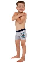 Obrázek z CTT BOX PRINT 701/138 92 