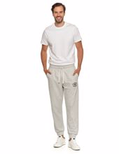 Obrázek z MORAJ TEPLÁKY PÁN.OSM4300-001 GREY M 