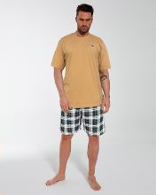 Obrázek z CTT PYŽ.PÁN.326/183 S 