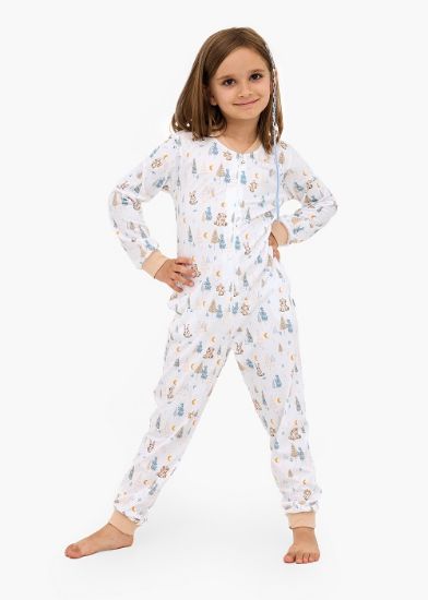 Obrázek z CTT OVER.DÍV.954  