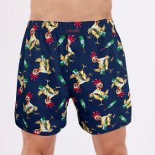 Obrázek z CTT BOX CLASSIC 001/186 S 