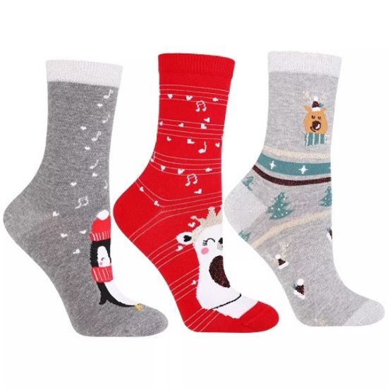 Obrázek z MORAJ PONOŽKY VÁN.DÁM. CSLS250-025/3 