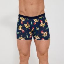 Obrázek z CTT BOX TATTOO 280/255 S 