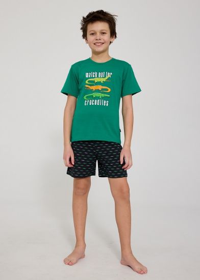 Obrázek z CTT PYŽ.CHL.790 